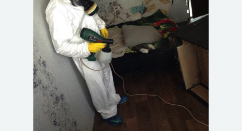 Дезинсекция помещения в Могоче