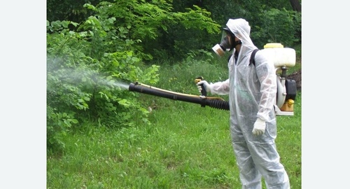 Дезинфекция территории от клещей. Могоча