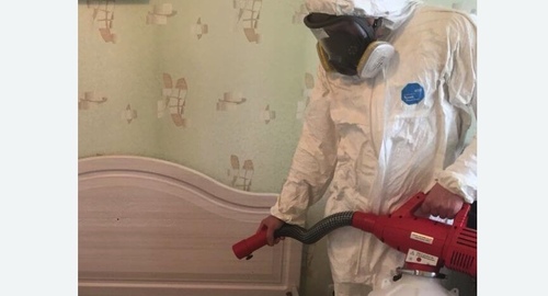 Уничтожение клещей в квартире. Могоча