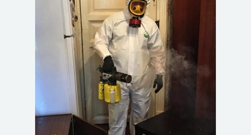 Дезинфекция от муравьев в квартире в Могоче