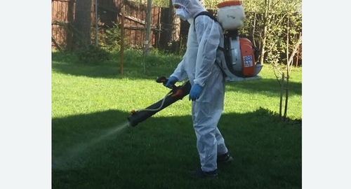 Обработка участка от клещей в Могоче