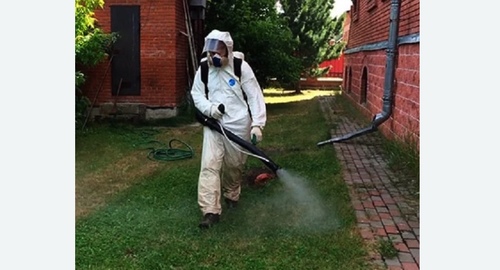 Обработка территории от клещей. Могоча