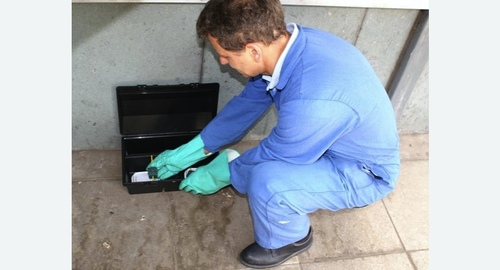 Уничтожение мышей. Могоча