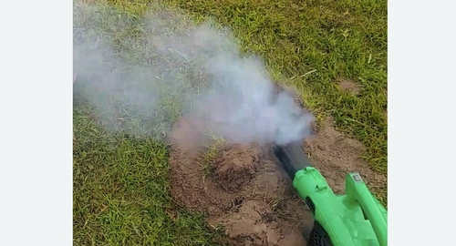 Обработка от кротов в Могоче