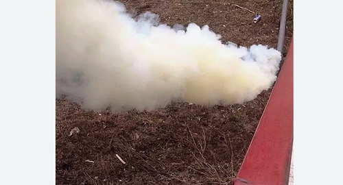 Уничтожение кротов на участке в Могоче