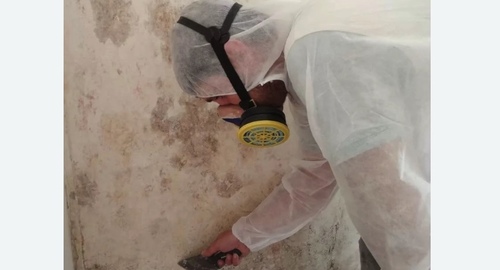 Обработка стен от плесени в Могоче