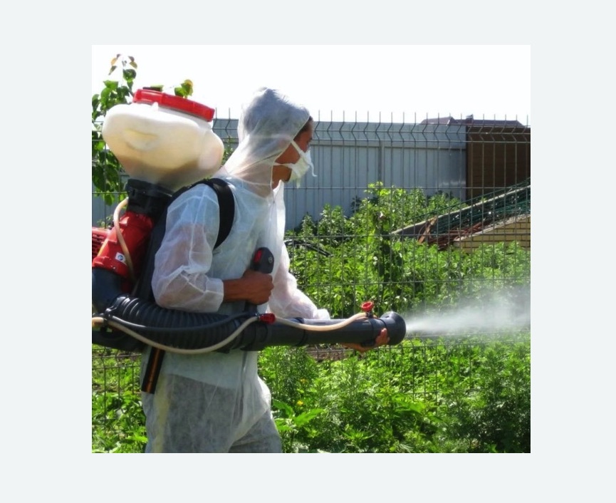 Акарицидная обработка территории в Могоче