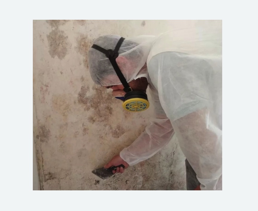 Обработка стен от плесени в Могоче