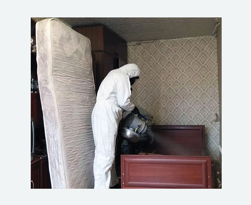 дезинфекция от клопов в Могоче