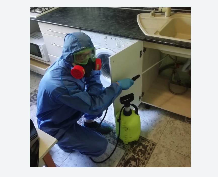 обработка от муравьев в квартире в Могоче