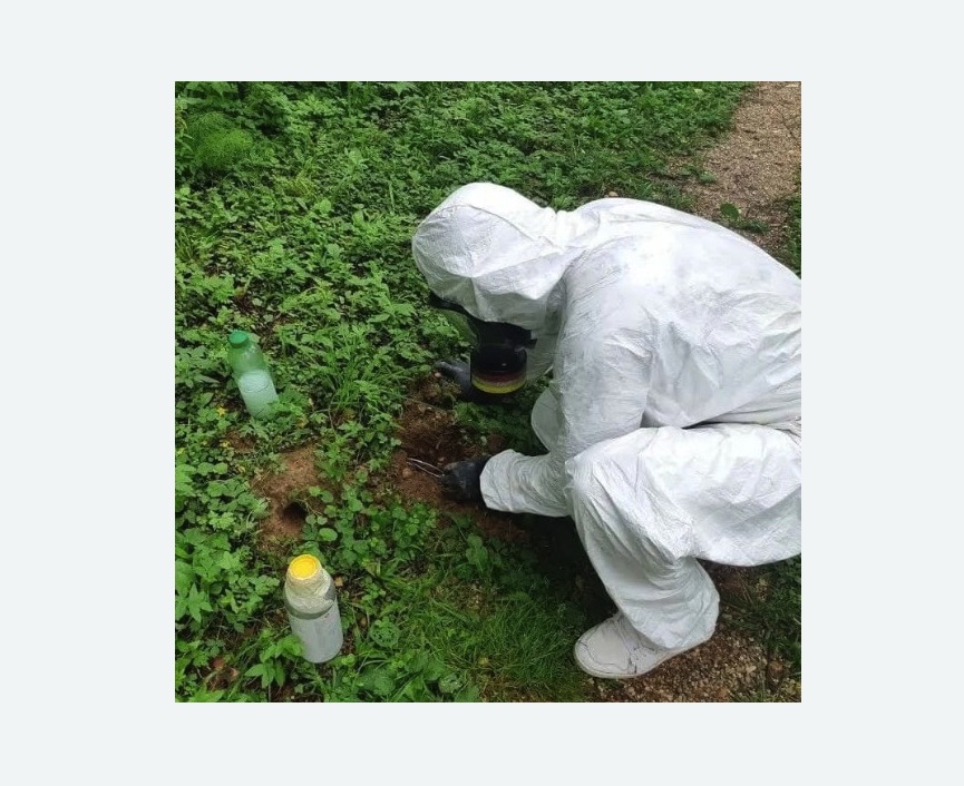 уничтожение кротов на участке в Могоче