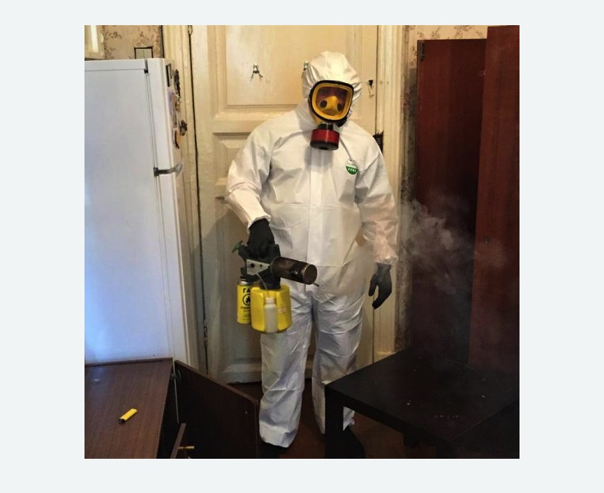 уничтожение муравьев в квартире в Могоче